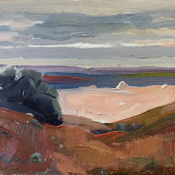 The Barrens Late Light